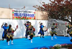 第14回ツワブキまつり