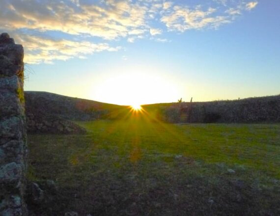 2026年初日の出観覧のご案内